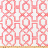 Ander Sunset Coral Luxe Canvas Fabric By Scott Living