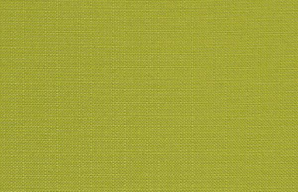 Outdoor Fabric - Dyed Greenery Luxe Polyester Fabric By Premier Prints